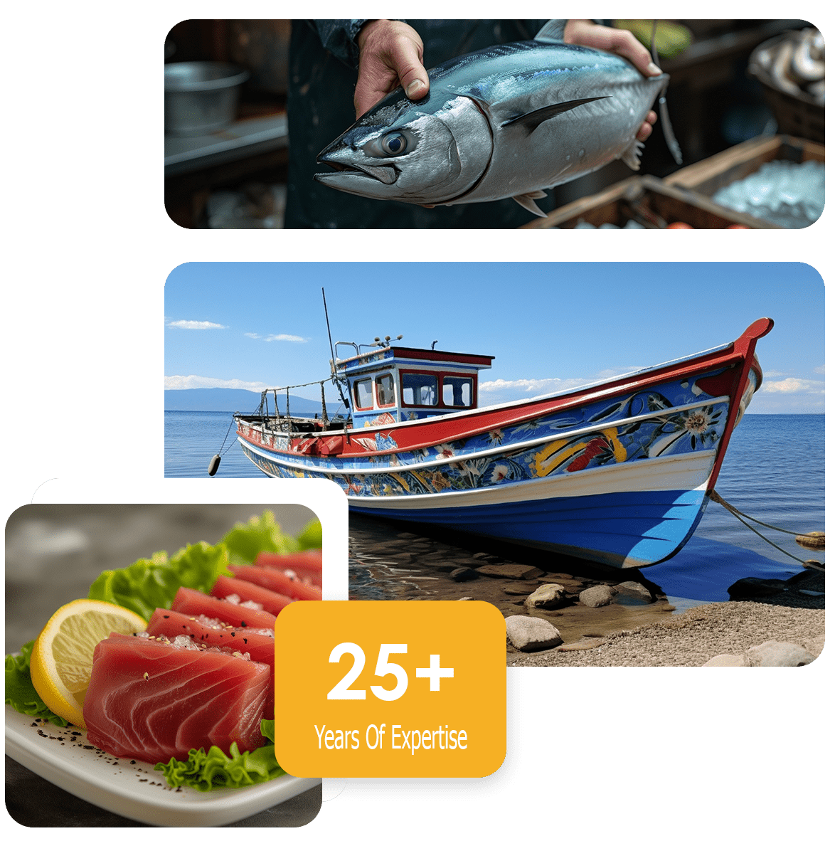 Romesha Seafood About Us
