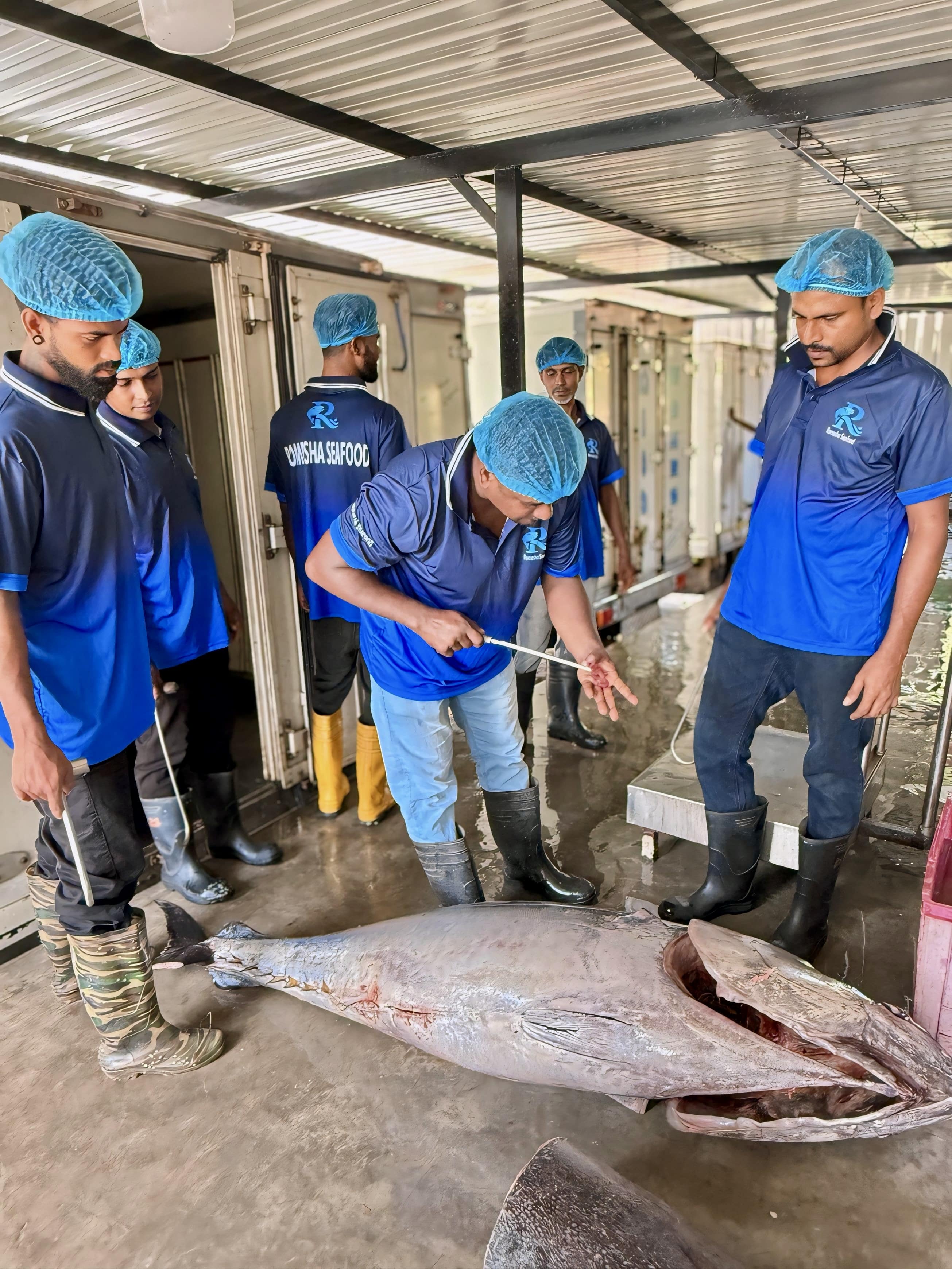 Team managing fishing nets