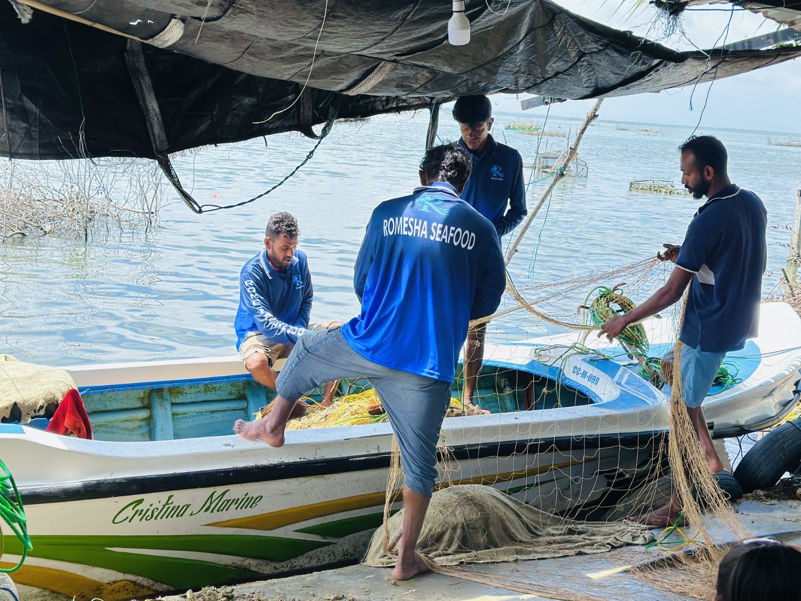 Team working with fishing nets and boats